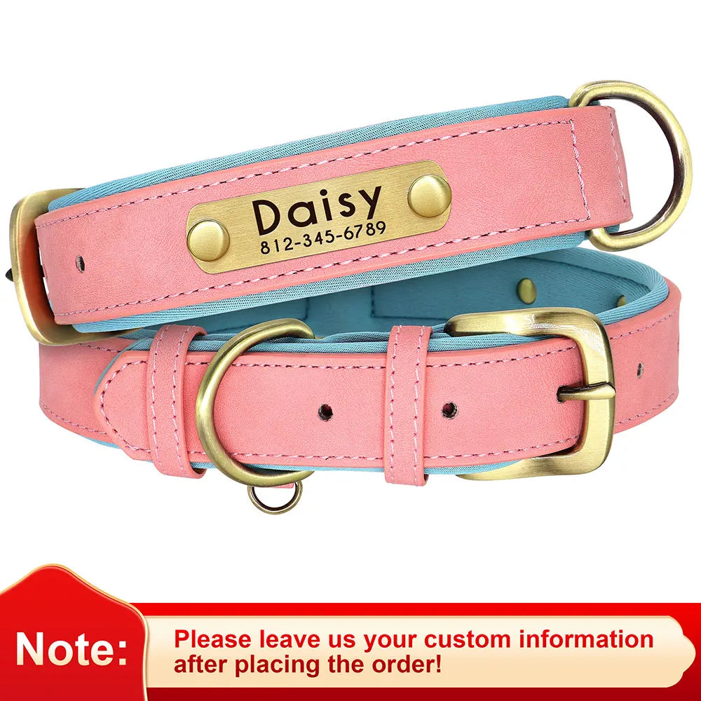 Personalized Padded Leather Dog Collar with Engraved Nameplate