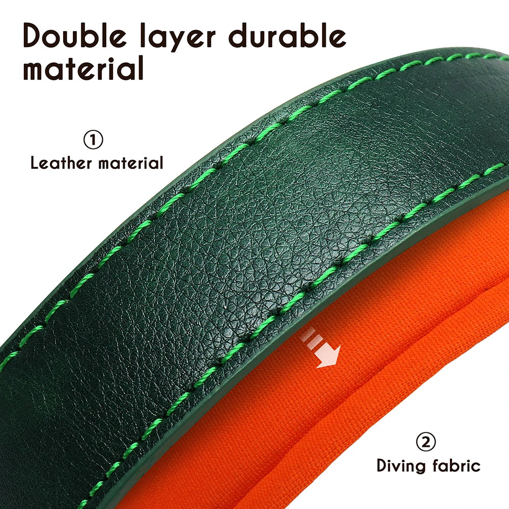 Personalized Padded Leather Dog Collar with Engraved Nameplate