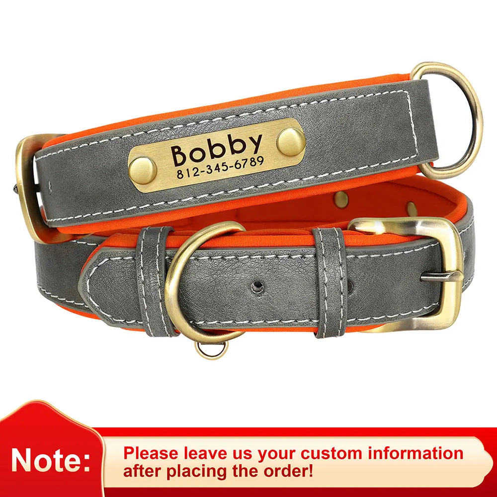 Personalized Padded Leather Dog Collar with Engraved Nameplate
