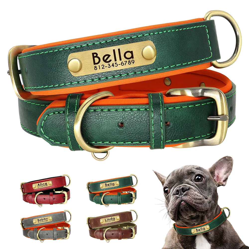 Personalized Padded Leather Dog Collar with Engraved Nameplate