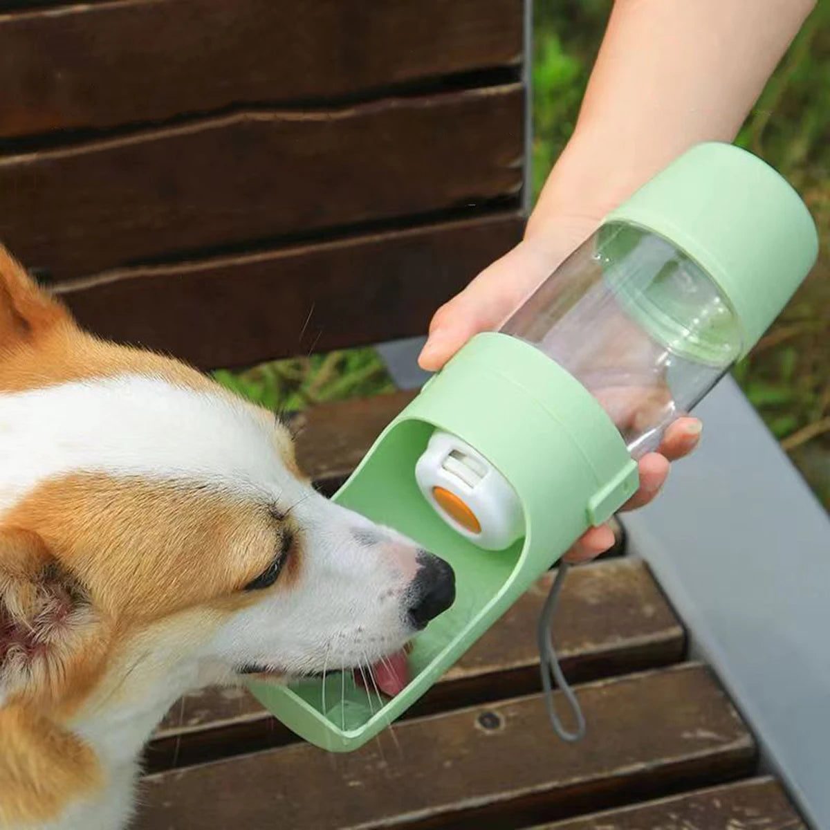 Dog drinking from a green Snifflebay portable pet water bottle