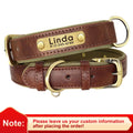 Personalized Padded Leather Dog Collar with Engraved Nameplate