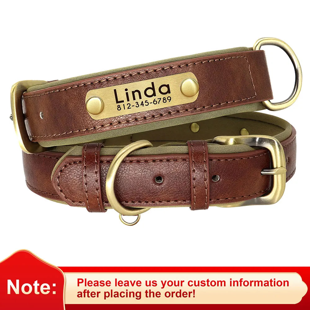 Personalized Padded Leather Dog Collar with Engraved Nameplate