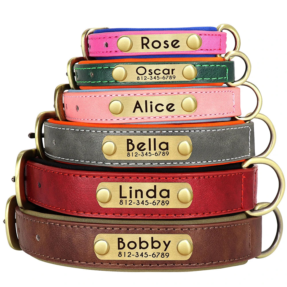 Personalized Padded Leather Dog Collar with Engraved Nameplate