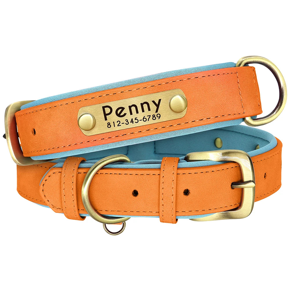 Personalized Padded Leather Dog Collar with Engraved Nameplate