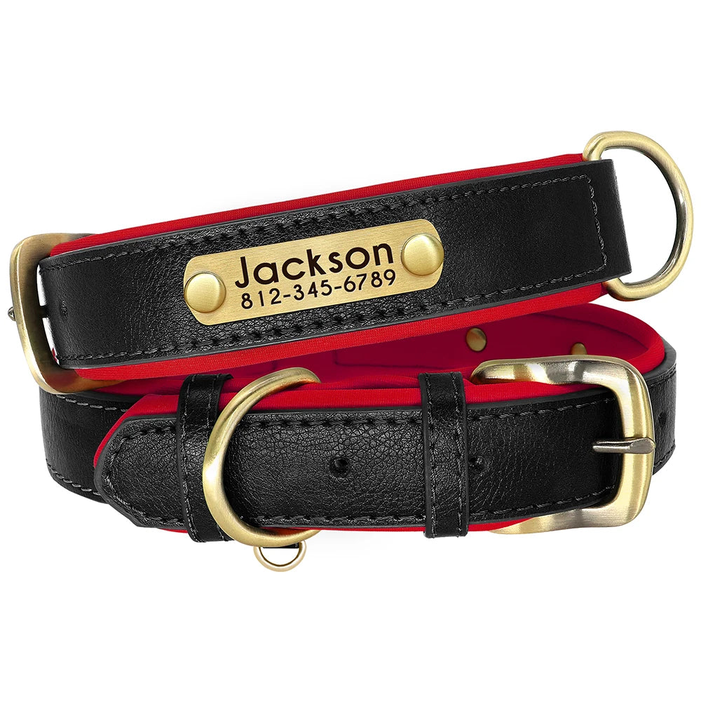 Personalized Padded Leather Dog Collar with Engraved Nameplate