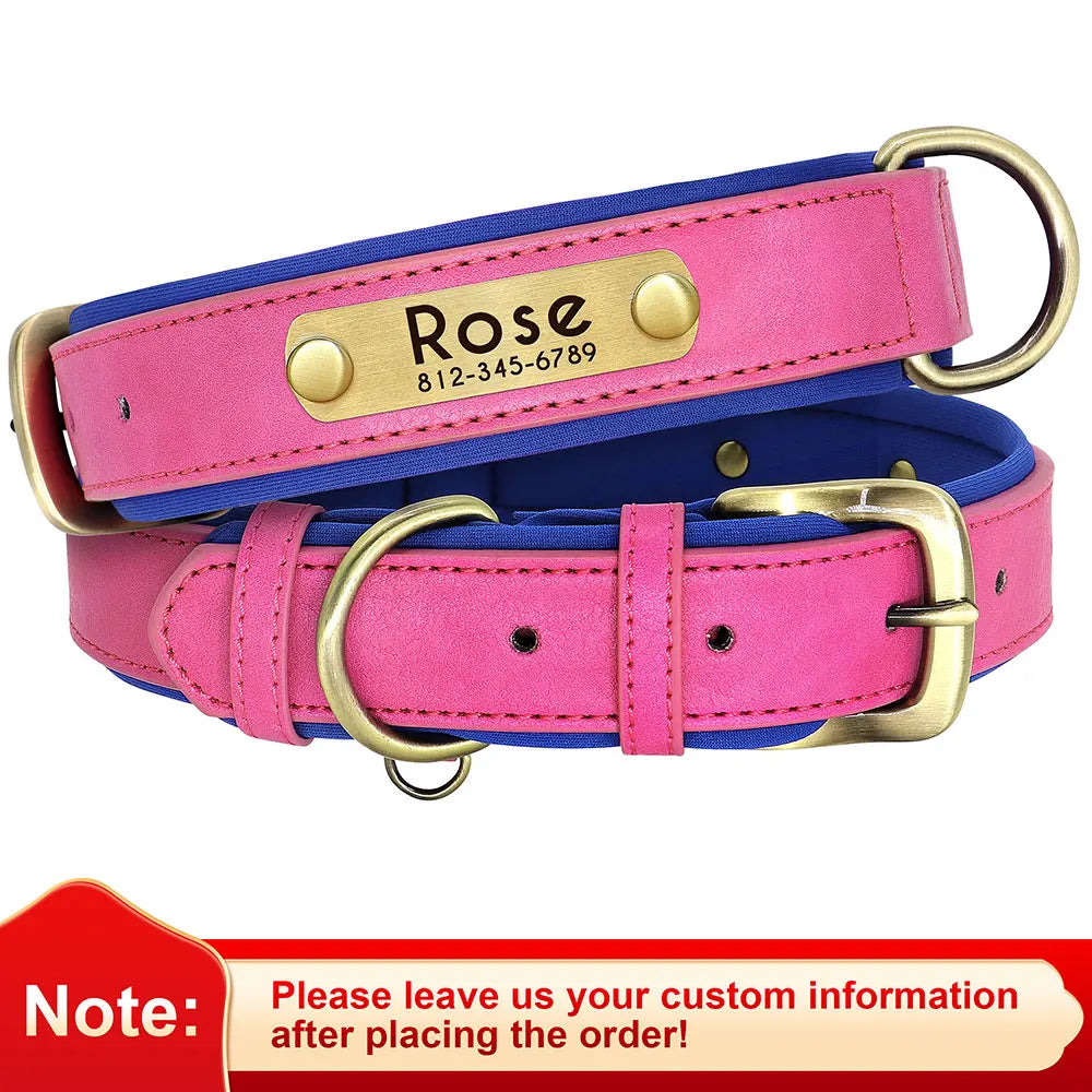 Personalized Padded Leather Dog Collar with Engraved Nameplate