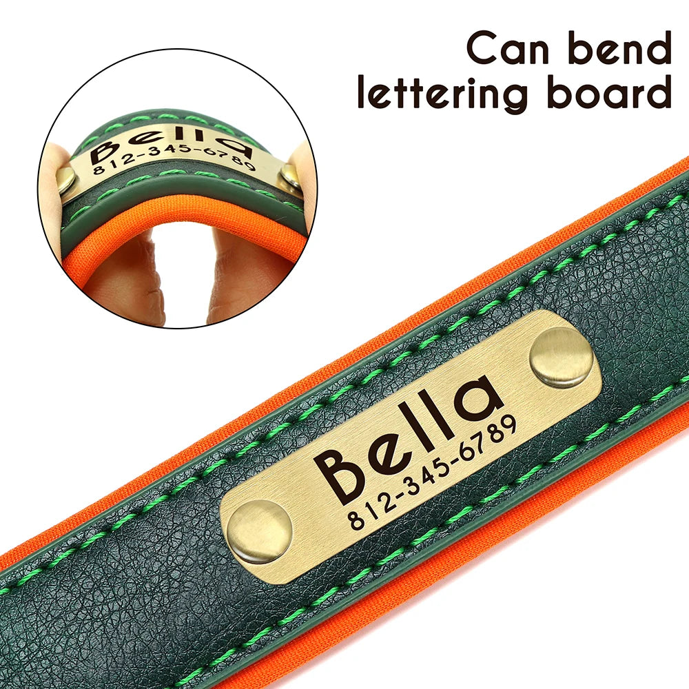 Personalized Padded Leather Dog Collar with Engraved Nameplate