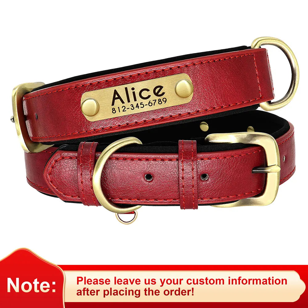 Personalized Padded Leather Dog Collar with Engraved Nameplate