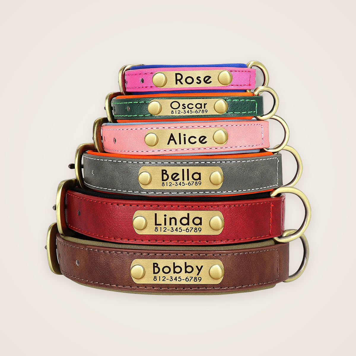 Six padded leather dog collars with engraved nameplates in different colors