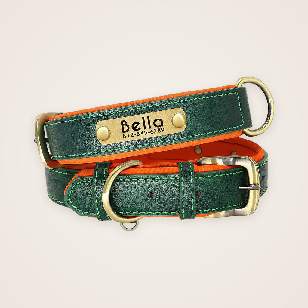 Green padded leather dog collar with engraved nameplate