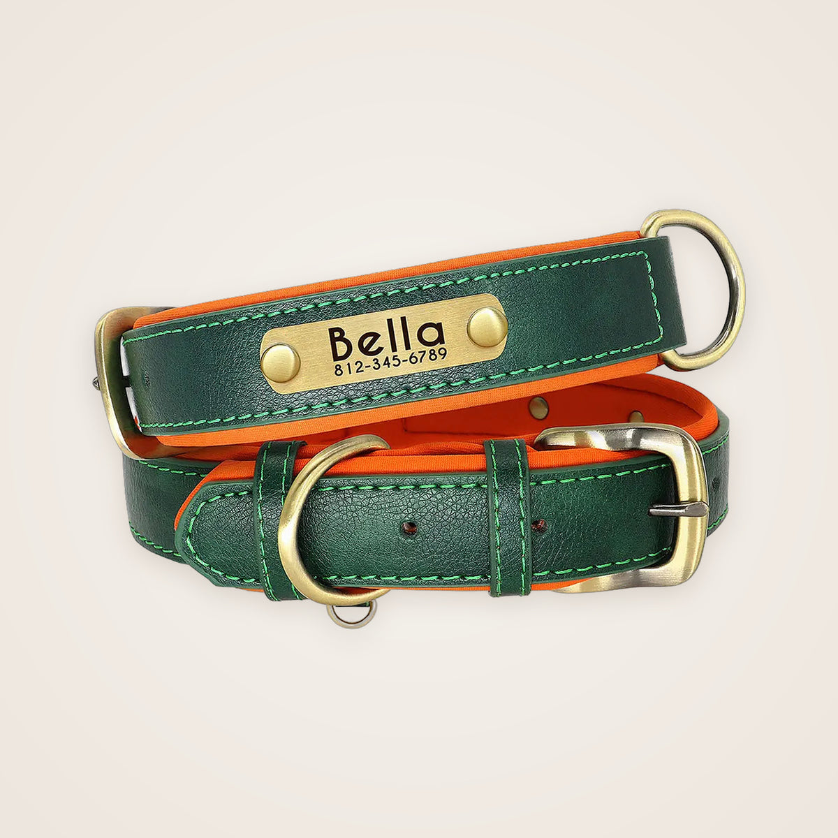 Green padded leather dog collar with engraved nameplate
