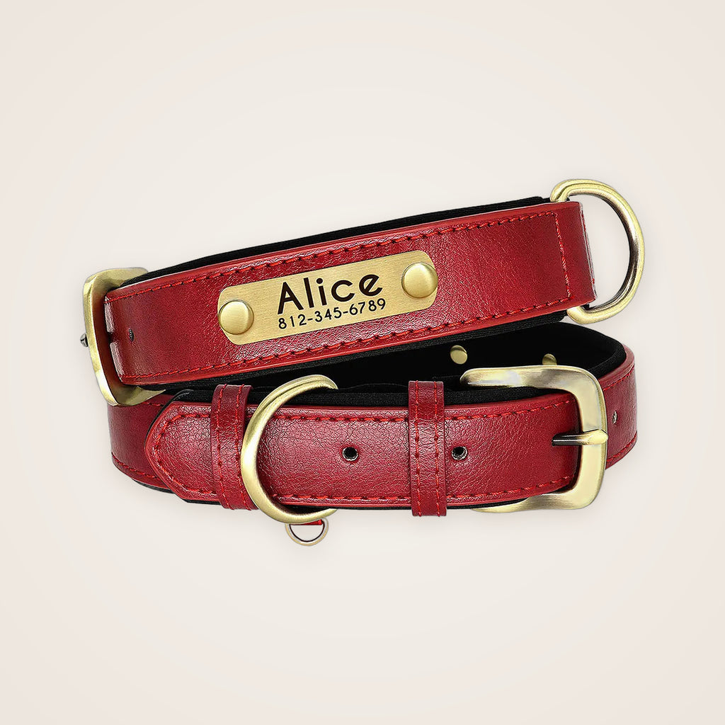 Red padded leather dog collar with engraved nameplate